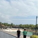 즐겨찾기당구장 | 나트랑 아미아나리조트 후기 오션뷰 숙소 / 수영장 / 프라이빗비치