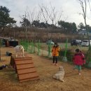 수성그린비 이미지