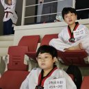 강신철 태권도 무인의 향기 태권도장 이미지