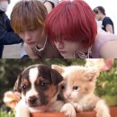 여주-0302 | 250510 W KOREA 화보 비하인드: 빨간 머리가 좋다고 말해 (녜)