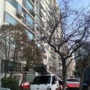 궁 짐 | 새 보금자리를 찾아서, [궁 이사 365] - 포장 · 보관 이사 후기