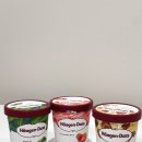 하겐다즈 - 서초구 서초대로38길 12 | 하겐다즈 파인트 후기 | 딸기, 마카다미아넛, 녹차맛(라라스윗 나뚜루 비교)