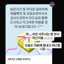 상남동137 이미지