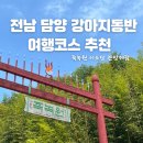 나산리 | 전남 담양 죽녹원 이소당 관방제림 강아지동반여행