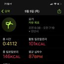 브레드나무 이미지