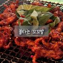 불타는 오리&닭 | [서울/문래] 불향 가득 숯불 닭발 문래 술집 추천 ‘불타는 꼬꼬발’ 솔직후기
