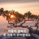 포토카드/인사장 만들기 이미지