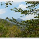 합천호둘레길 이미지