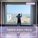 (주)그랜드라인라벨 | 겨울방학 가성비좋은 호캉스 1박 그랜드하얏트 인천