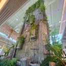 눈섬베이커리 이미지