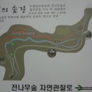 월정사 육수관음상 이미지