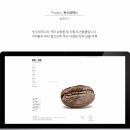 빈스 컴퍼니 이미지