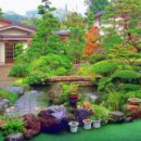 카페링크 이미지