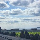 이교동일제군사시설 | 제주다크투어 제주둘레길 10코스 중 일부 송악산 주변 둘러보기