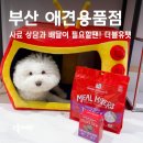 가족과 함께하는 우리 밀 베이킹 | 부산 연산동 애견용품 더블유펫에서 만난 스텔라앤츄이스 밀믹서&amp;터키 스튜 리뷰