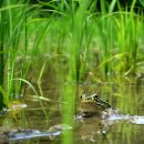 함안 아라제 축제 기간중 수박축제 일정표 이미지