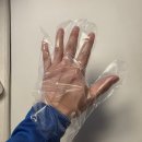 쌍둥이족발 | 레디홈 폴리글러브 후기 | 쌍둥이맘의 찐 솔직 리뷰 (feat. 장단점 총정리)