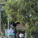 (합)뉴삼일관광 | 2월 시드니 투어, 시내 관광