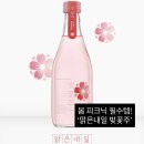 [전통주 추천] 피크닉에 찰떡인 달달한 복숭아향 증류식 소주! 술마켓 알려주조 '맑은내일 벚꽃주' 찐 후기