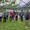 용촌농장 이미지