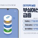 대구지역 농협 올해 상반기 부실여신 급증… 부실여신 377억원 육박 이미지