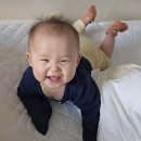 제주파인비치펜션 이미지