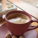 뉴홍익당구클럽 | 보홀 오셔니카 사우스팜 리조트 데이유즈 절망편 후기 / BBC 아고타타 레스토랑까지