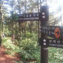 시낭운동장 Daum카페