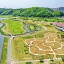 낙동가람 이미지