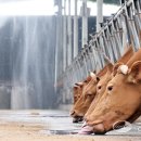 산우리농장 이미지