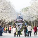 포크기타(야간) 이미지