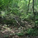 산수농장 이미지