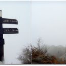 대강면 송내마을 이미지