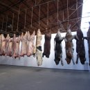 인공 + 자연 이미지