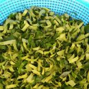 농장 천지인 이미지