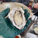 보령가볼만한곳 천북굴단지&amp;천북굴따라길(서해랑길62코스일부)-24년12