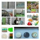 행복한반찬가게 희망도시락 이미지