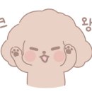 멍냥캉스 이미지