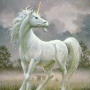 유니콘 이미지