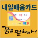 내일배움카드 활용법 (취업, 자격증, 국비 지원)