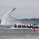 보드에 바나나