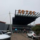 남부순환로328길1-14_ | 서울 학여울역 세텍 2025 크리스마스 서울펫쇼 펫페어 후기