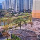 꿈에그린3차아파트 네이버블로그