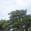 보름산미술관카페 | 복합문화공간 숲 카페 고촌 카페 보름산미술관 카페 다녀온 후기