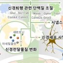 알츠하이머 치료 '환경적 풍부화' 효과·기전 규명 이미지