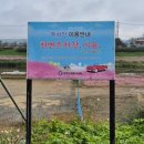 함평5일시장 | 전남 함평 광주근교 대형카페 빵지순례, 키친205 함평 본점 딸기케이크 솔직후기