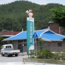 박속낙지 이미지