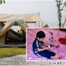 김현태의 춤 길 | 홍가네 캠핑 스토리 : 제2회 평택가족스마트영상제(2013.06.06~9)