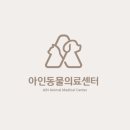 아인동물의료센터 이미지