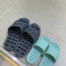 선재유일390 이미지